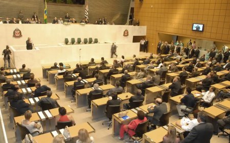 PF investigará ameaças de morte e estupro feitas a deputadas de SP