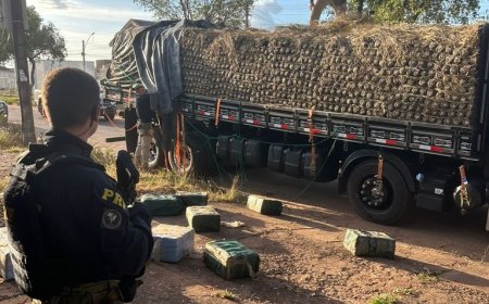 PRF apreende quase meia tonelada de cocaína em caminhão carregado com abacaxi, em Pau D’Arco/PA