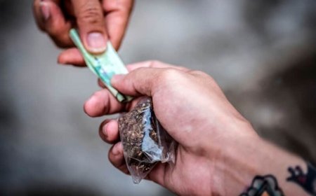 “Vovó do tráfico” diz que vendia entorpecente há 22 anos para não deixar a família “passar fome”