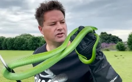 Youtuber morre ao ser picado por cobra enquanto gravava vídeo