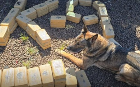 Cão policial se aposenta após sete anos de serviço na PF em Foz do Iguaçu/PR