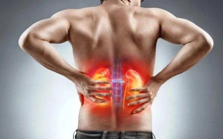 Pedra nos rins: saiba como prevenir e tratar o problema
