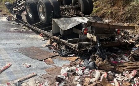 Caminhão tomba e carga é saqueada na MGC-120; VÍDEO