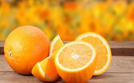 Produtores consideram deixar laranja apodrecer no pé por causa de tarifas