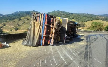 Caminhão com cerca de 10 toneladas de café perde os freios e tomba na LMG-847, em Juruaia; carga foi saqueada
