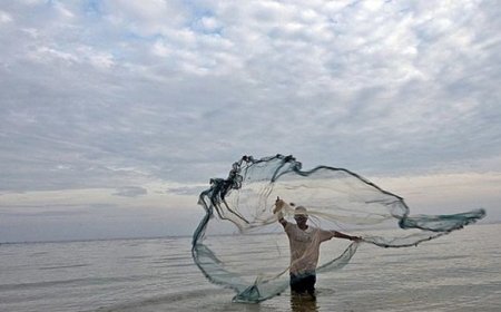 Saiba quem tem direito ao benefício do Seguro-Defeso