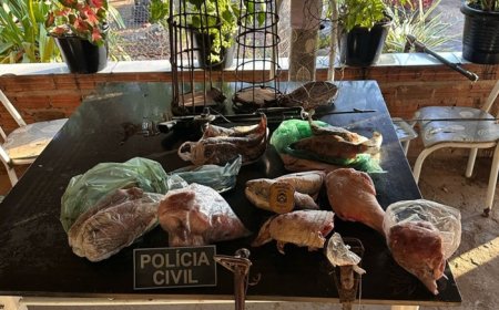 Crimes ambientais no Tocantins: homem é detido com carne de caça e materiais ilegais