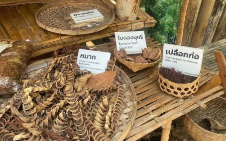 Dente de 4.000 anos revela uso mais antigo de uma substância psicoativa