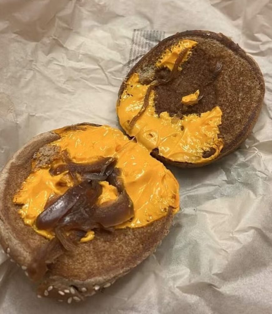 Cliente recebe lanche sem a carne e se choca com resposta