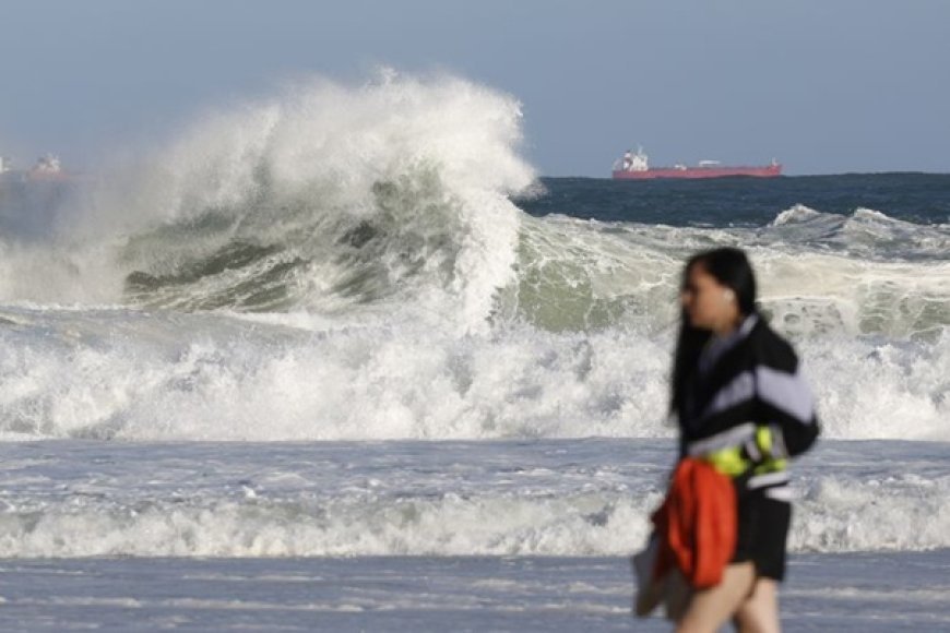 Após ondas gigantes, cinco pinguins aparecem mortos na orla do Rio