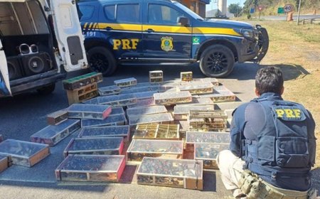 PRF resgata cerca de 1.400 aves silvestres transportadas em condições de maus-tratos em Sete Lagoas/MG