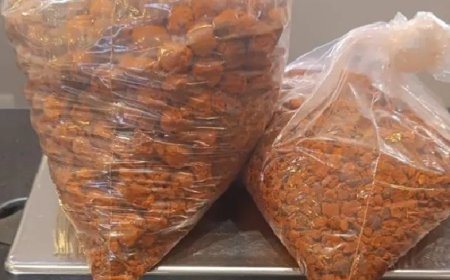 Casal é preso com armas e pedras biliares bovinas em Minas Gerais