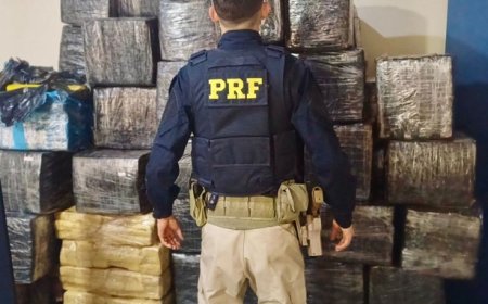 PRF apreende aproximadamente 2,5 toneladas de maconha em Piraí