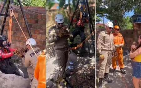 Cadela é resgatada de poço de 10 metros em Chapadinha