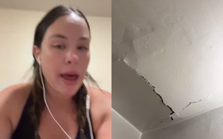 Mulher viraliza após pagar R$ 13 mil e encontrar apê lotado de baratas