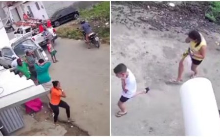 Enxame de abelhas ataca pessoas em velório e deixa feridos no Ceará