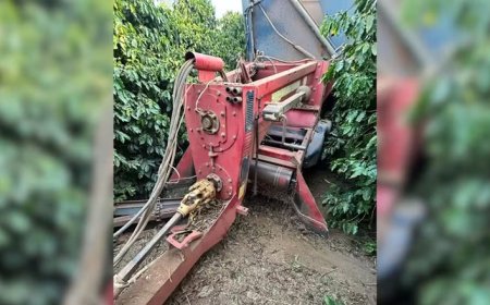 Fazendeiro morre ao ser puxado para dentro de colheitadeira de café