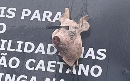 Torcida do Corinthians volta a provocar Palmeiras com cabeça de porco