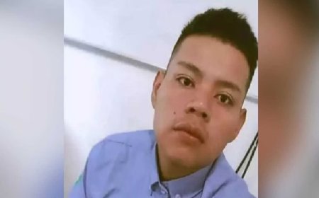 Caminhonete atropela anta, bate em carreta e passageiro morre em MS