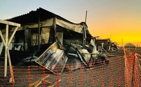 Mais de 500 pessoas são resgatadas de trabalho escravo no Mato Grosso