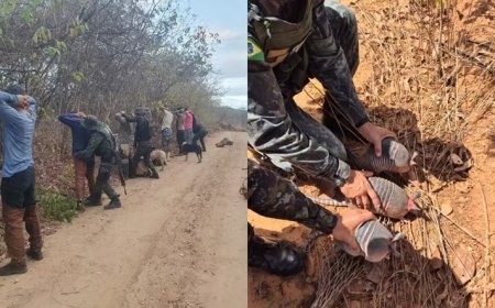Torneio de caça ilegal de animais silvestres é interrompido e oito pessoas são detidas no interior do Ceará