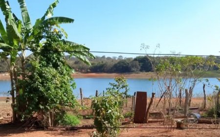 Homem mata  ex-esposa a tiros  e se mata em seguida