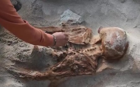 Corpos de 14 vítimas de rituais de sacrifício são achados em templo no Peru