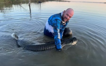 Pescador captura pirarucu de 1,80 m e mais de 150 kg no Lago de Palmas