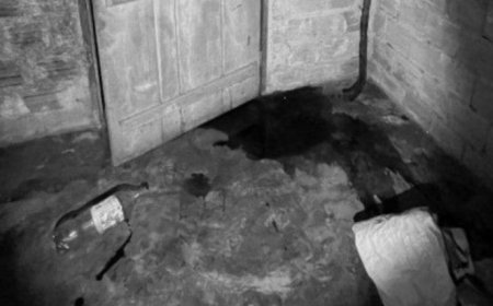 Polícia Civil indicia homem que torturou e matou a esposa na frente do filho de 8 anos