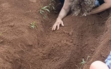 Retiro no DF enterra pessoas vivas em “ritual de renascimento”