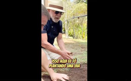 Em vídeo a Trump, Lula diz que planta comida, não ódio