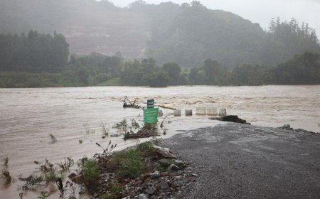 521 municípios têm pagamento unificado do Bolsa Família e do Auxílio Gás