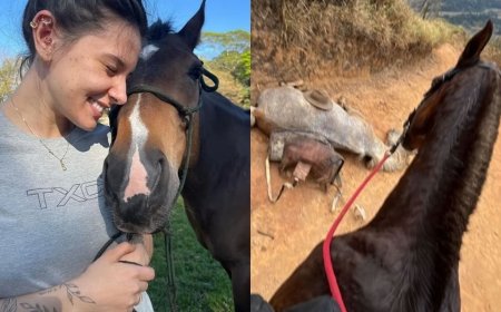 Ana Castela expõe homem que teria cortado patas de cavalo: “Covarde”