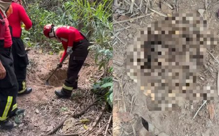 Dois corpos esquartejados são encontrados em área de vegetação, em Imperatriz, no MA