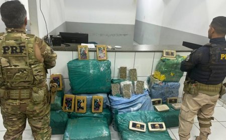 PRF apreende mais de 360 kg de drogas escondidos em carga de milho no Maranhão