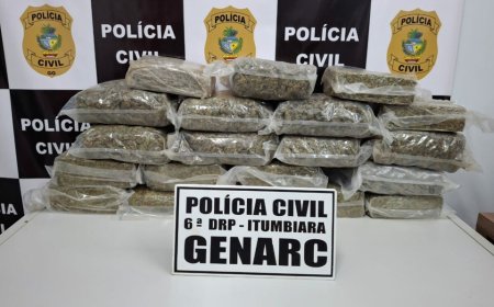 PCGO intercepta carregamento de “supermaconha” avaliado em R$ 500 mil