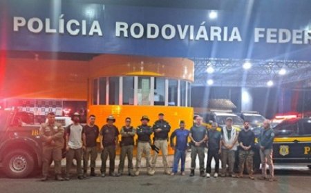 PRF resgata 48 animais silvestres na BR-222