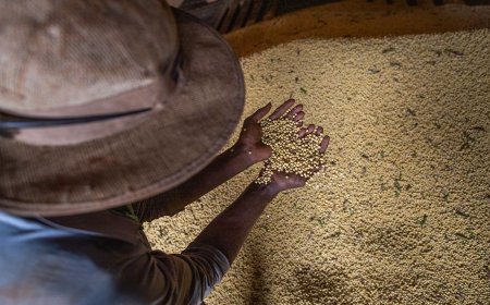 Governo amplia crédito a pequenos produtores do Norte e Centro-Oeste