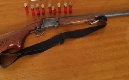 Homem é condenado a 4 anos e 8 meses por matar cachorro com disparo de espingarda