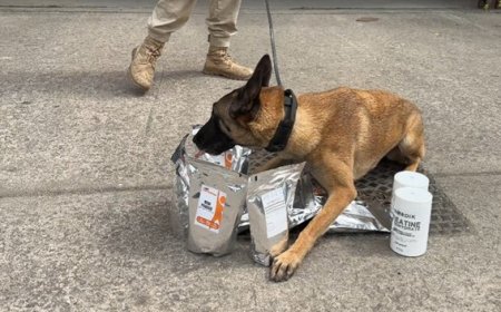 PRF apreende oito quilos de metanfetamina na Baixada Fluminense