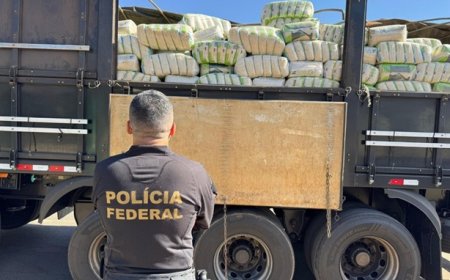 PF doa mais de 36 toneladas de arroz apreendido durante uma ação policial em Goiás