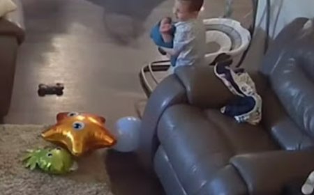 Mãe deixa recém-nascido com irmão por 1 minuto e fica em choque com o que vê na câmera