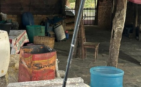 PF resgata 80 trabalhadores em condições análogas à escravidão no Maranhão