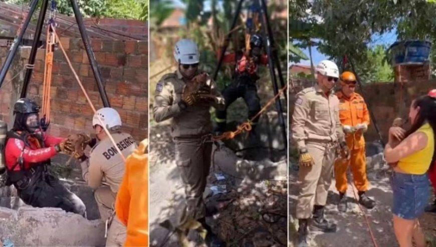 Cadela é resgatada de poço de 10 metros em Chapadinha