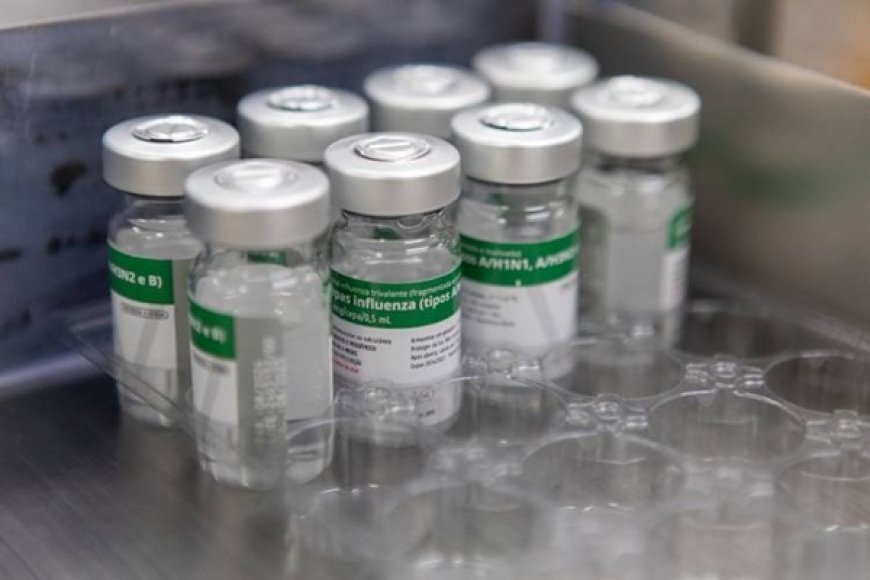 Vacina da gripe não causa AVC e protege contra doenças do coração e infarto, informa Butantan
