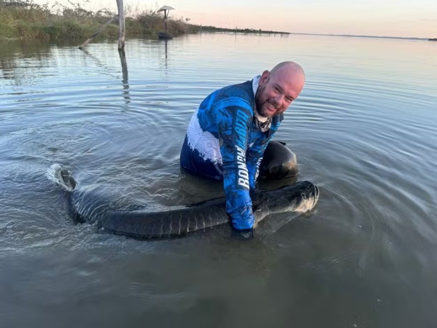 Pescador captura pirarucu de 1,80 m e mais de 150 kg no Lago de Palmas