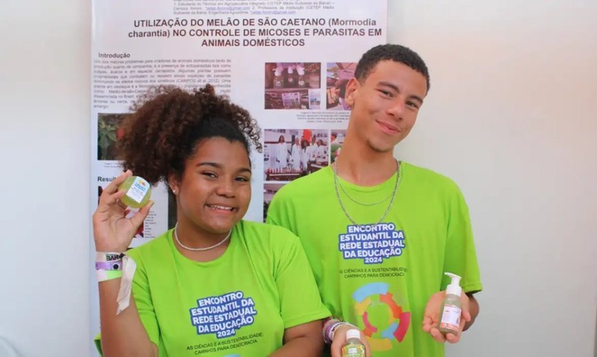 Estudantes criam carrapaticida natural a partir de planta medicinal