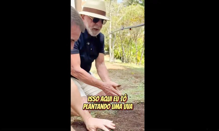 Em vídeo a Trump, Lula diz que planta comida, não ódio
