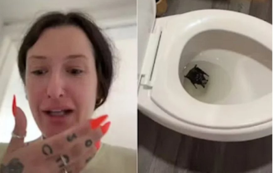 Influencer  encontra morcego morto em vaso sanitário e acaba no hospital por risco de raiva