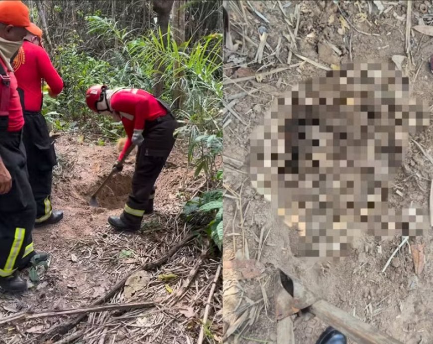 Dois corpos esquartejados são encontrados em área de vegetação, em Imperatriz, no MA